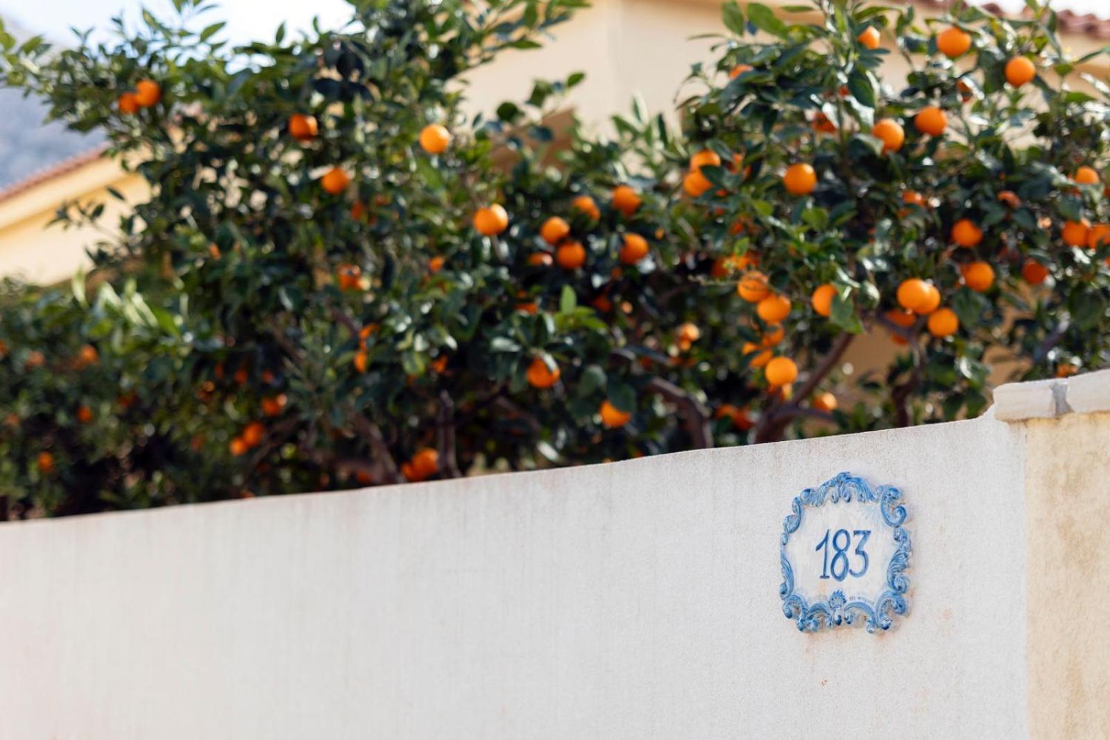 Casa Vacanze Il Faro San Vito Lo Capo-Trapani-Sicilia Ovest Holiday Home Екстериор снимка